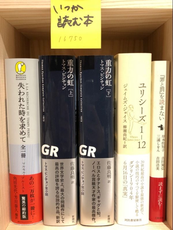 いつか読む本の本棚セット。確かにこのラインアップは、いつか、だろう……