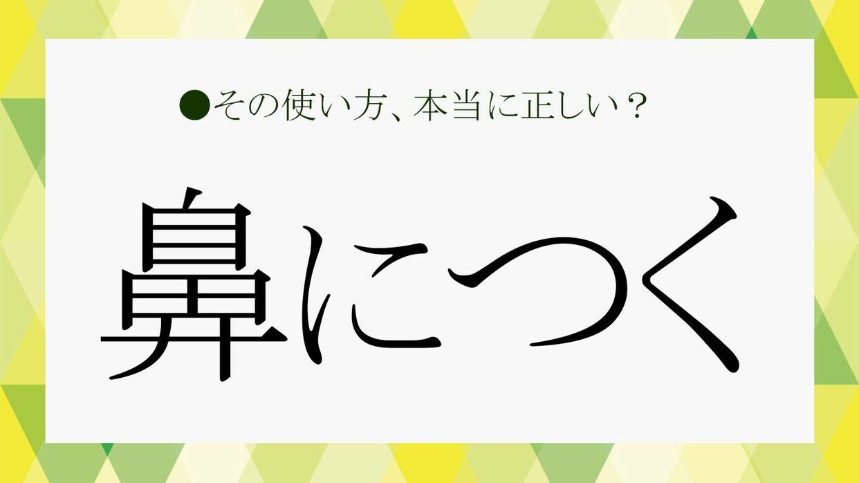 鼻 に つく 意味
