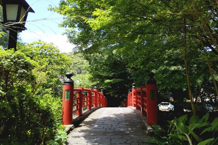 竹林の小径