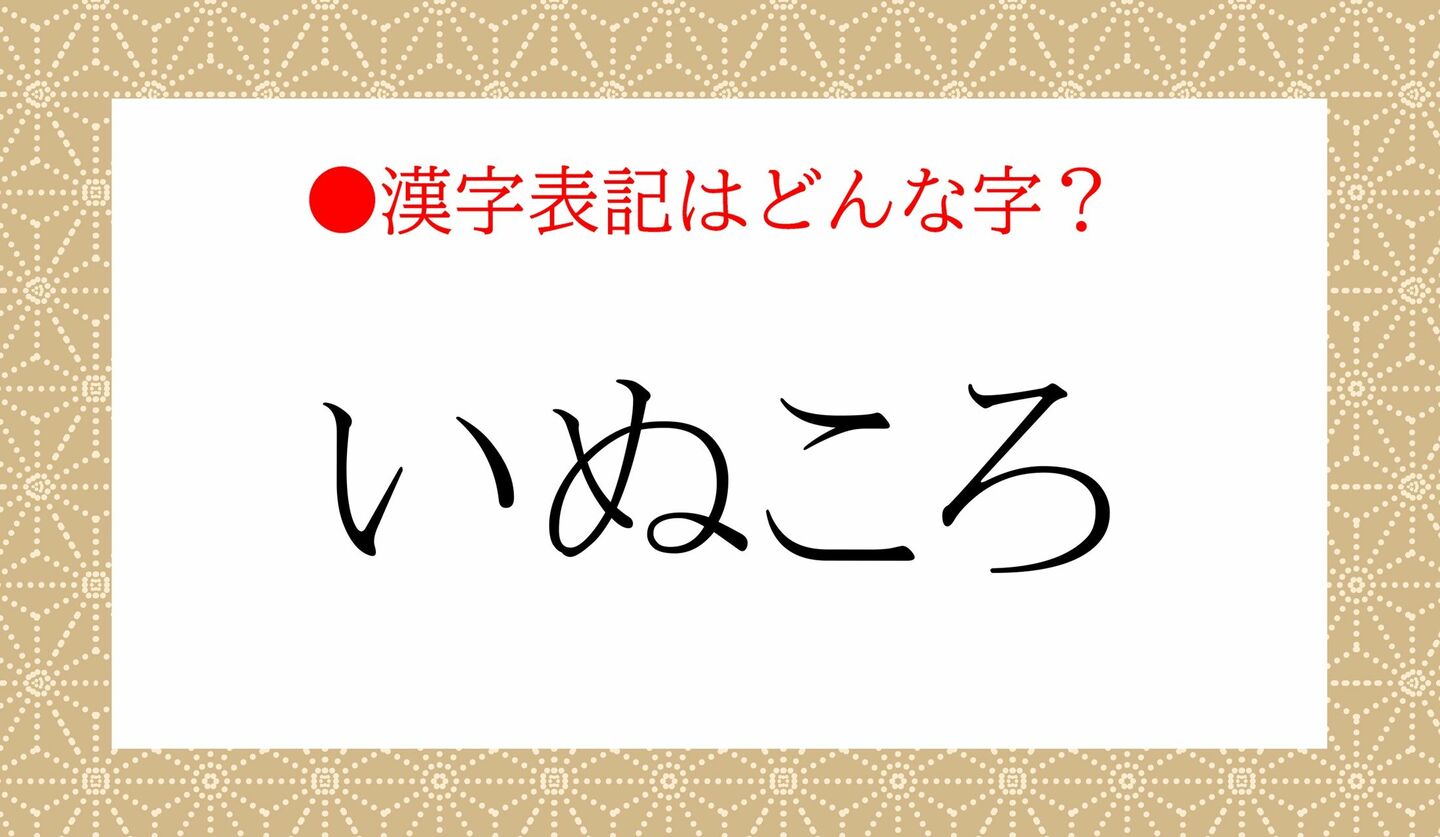 日本語クイズ　出題画像　漢字でどう書く？　「いぬころ」