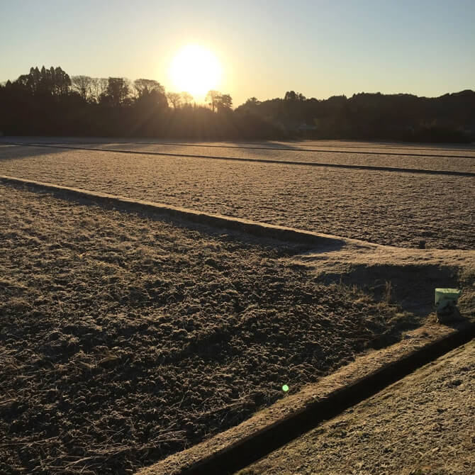 田園風景