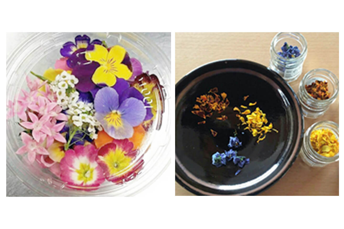 左:生花のパック 、 右:ドライエディブルフラワー/エディブルフラワー専門店HanaLabo