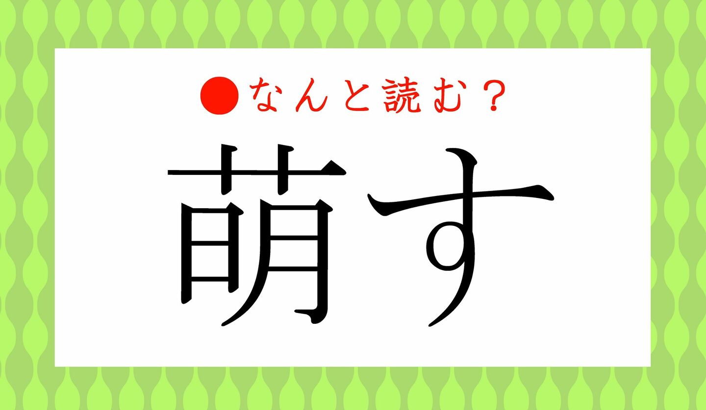 日本語クイズ　出題画像　難読漢字　「萌す」なんと読む？