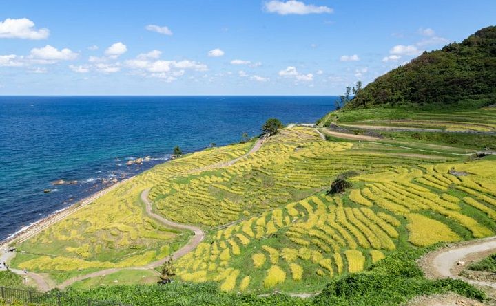 石川県輪島市には、美しい棚田や海岸線が続く日本ならではの原風景が残る。