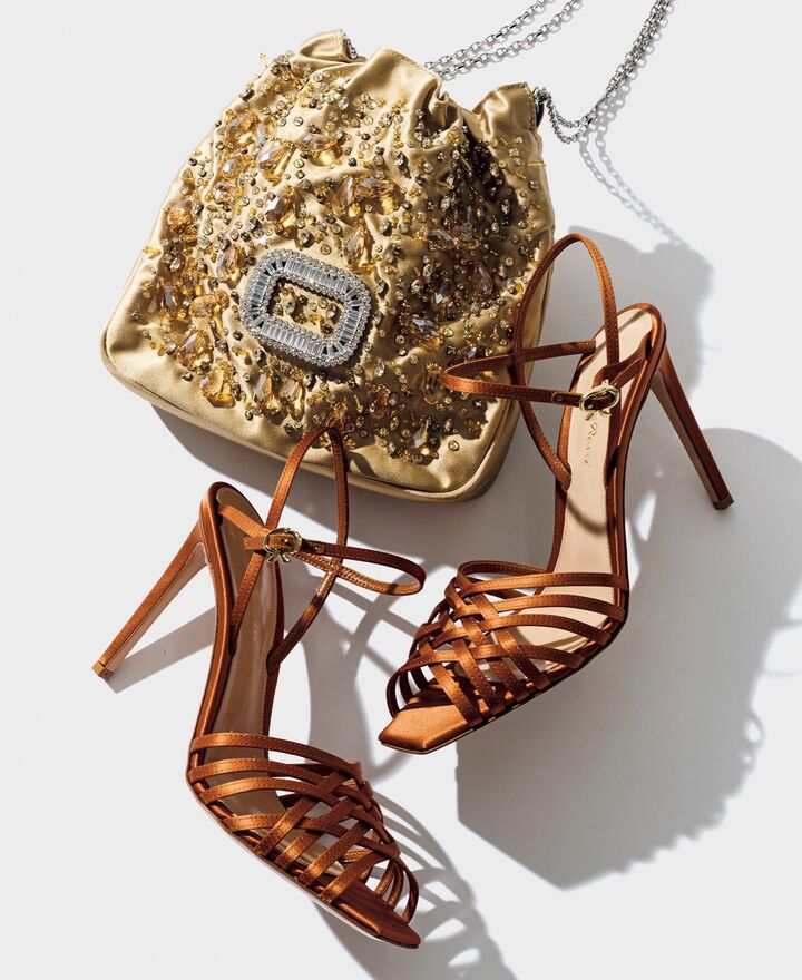 ロジェ・ヴィヴィエのバッグとジャンヴィト ロッシのパンプス