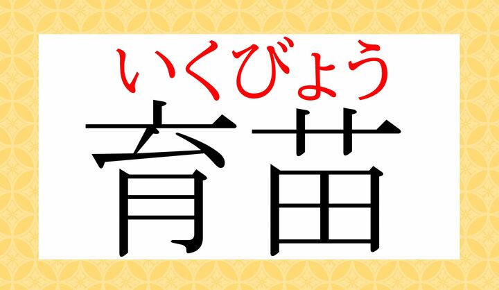 「苗」の音読み「ビョウ」、すぐわかりましたか？