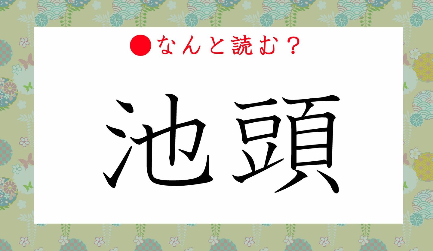 日本語クイズ　出題画像　難読漢字　「池頭」なんと読む？