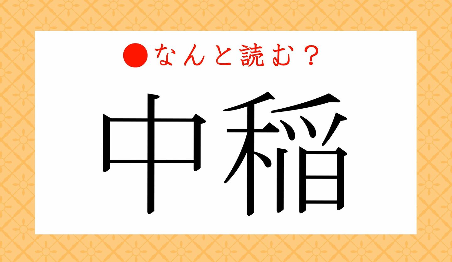 日本語クイズ　出題画像　難読漢字　「中稲」なんと読む？