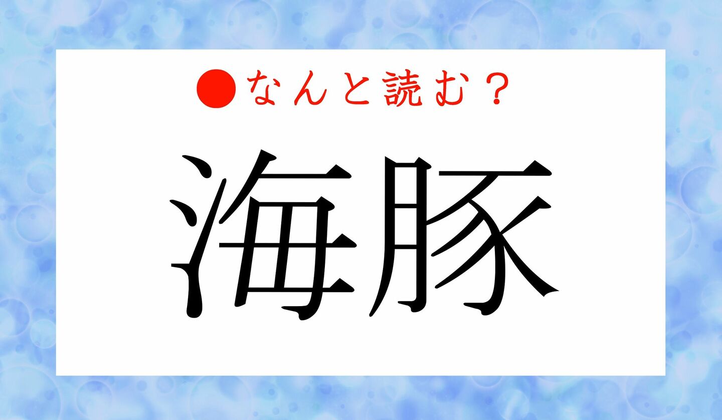 日本語クイズ　出題画像　難読漢字　「海豚」なんと読む？