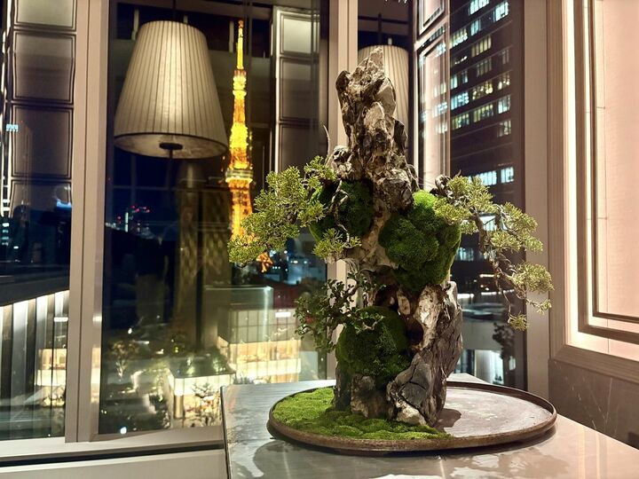 肉_8,酒_8,ホテル_8,東京_8