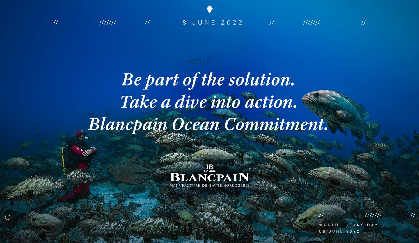 世界海洋デーへ向けた「ブランパン」の広告ビジュアル