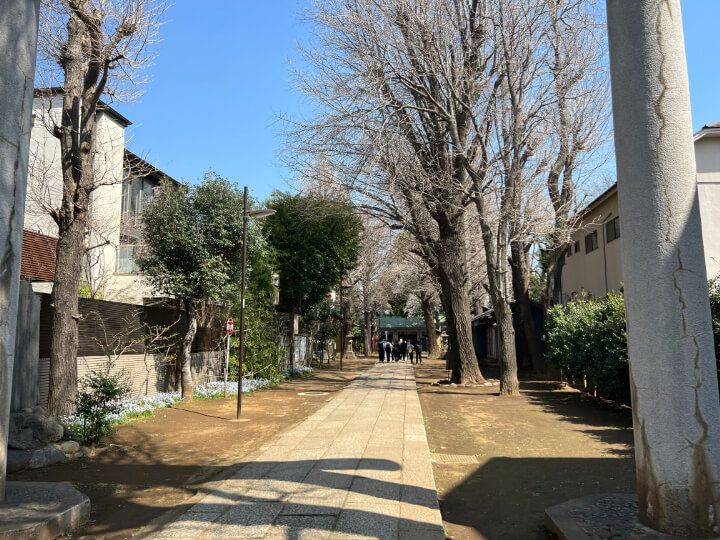 本駒込天祖神社は、本駒込3丁目にあります。伊勢神宮の天照大神をお祀りしていて、駒込の氏神様です。江戸時代、この近くには鷹匠屋敷がありました。現在の3丁目には、神社のまわりに戸建て住宅がたくさん並んでいます。