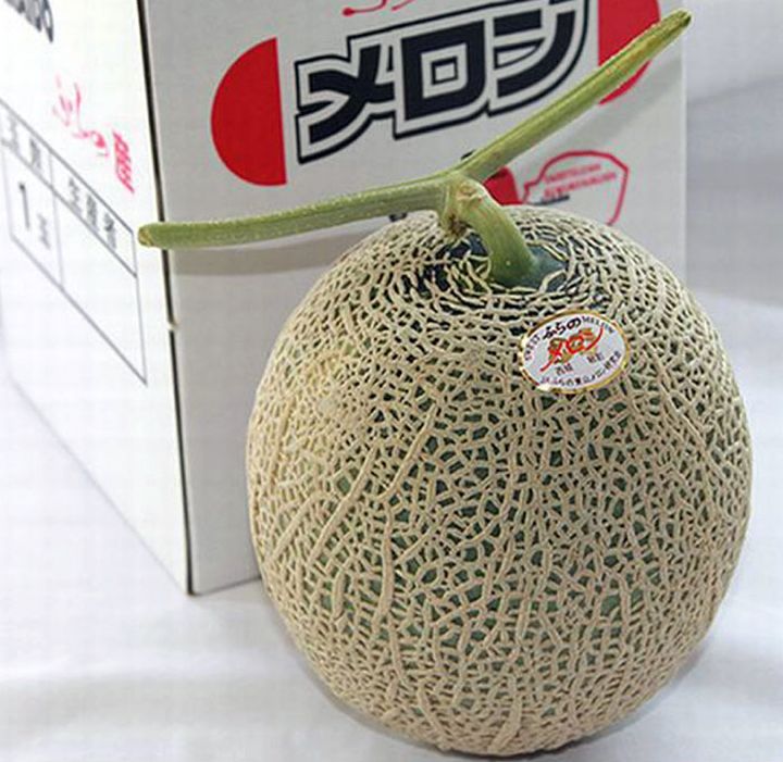 「北海道富良野産 赤肉メロン 2Lサイズ 1玉」(スイートベジタブルファクトリー・北海道)