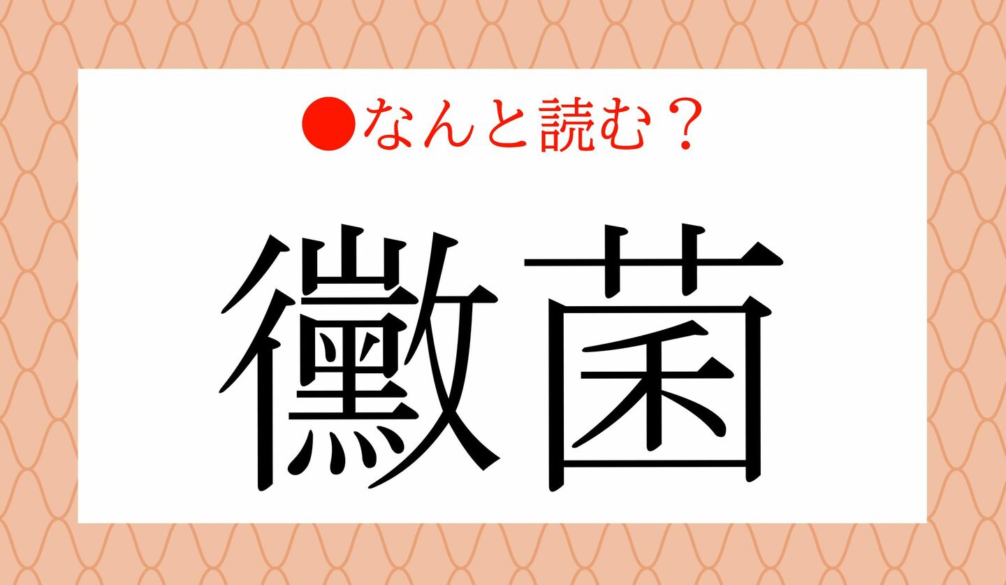日本語クイズ　出題画像　難読漢字　「黴菌」なんと読む？