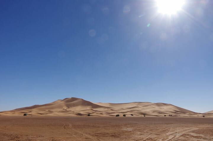 過酷な環境で知られるサハラ砂漠。