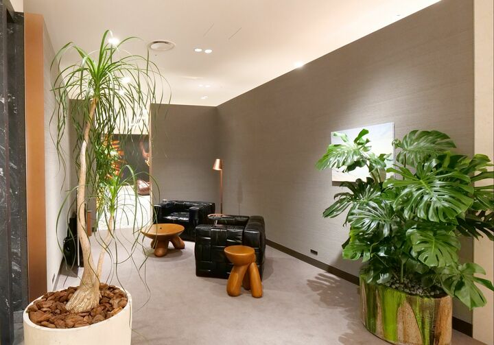 ファッションラウンジ