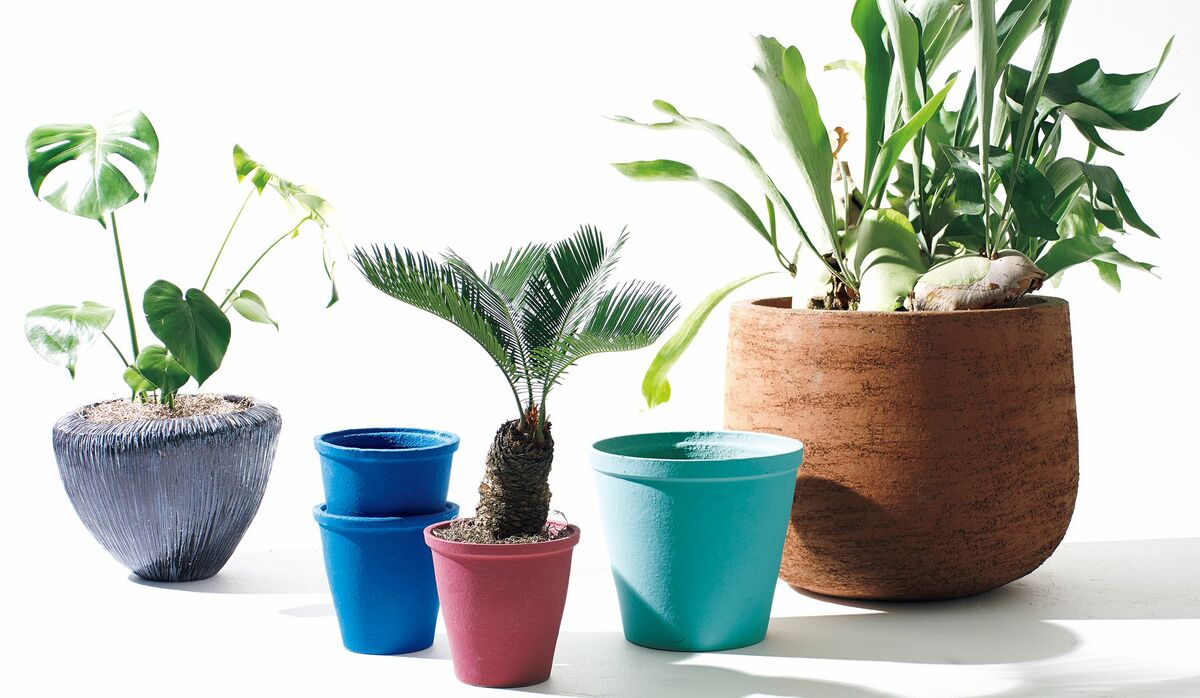 img_a6f9ef65e6738f490186e4aa64