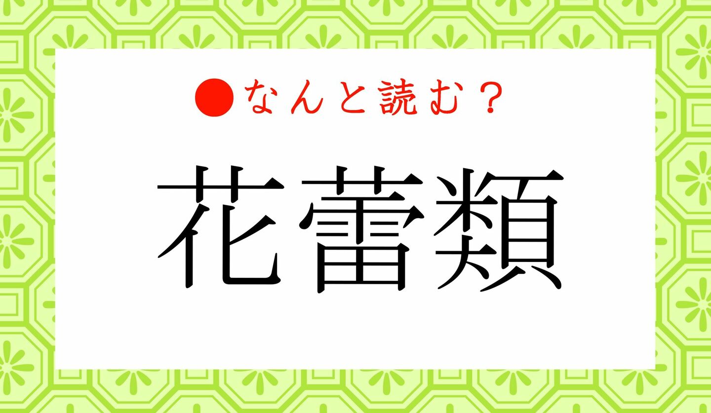 日本語クイズ　出題画像　難読漢字　「花蕾類」なんと読む？