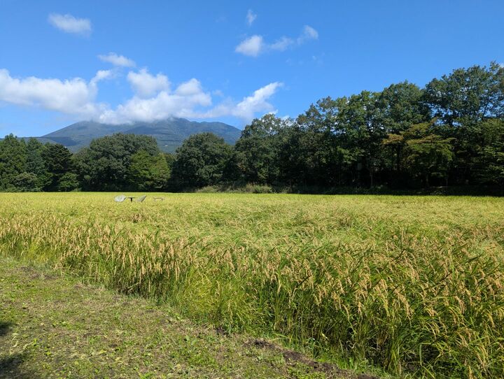 ホテル_3,国内旅行_2
