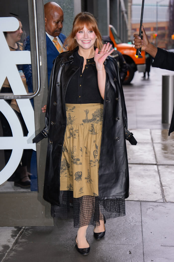 2025年4月7日、ニューヨークにて撮影。