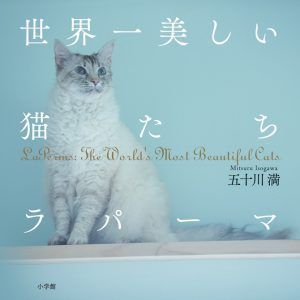 『世界一美しい猫たち ラパーマ』¥2,700(税抜)
小学館 ISBN 978-4-09-682240-1