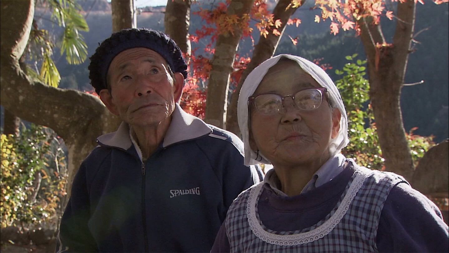 CINEMA「花のあとさき」c