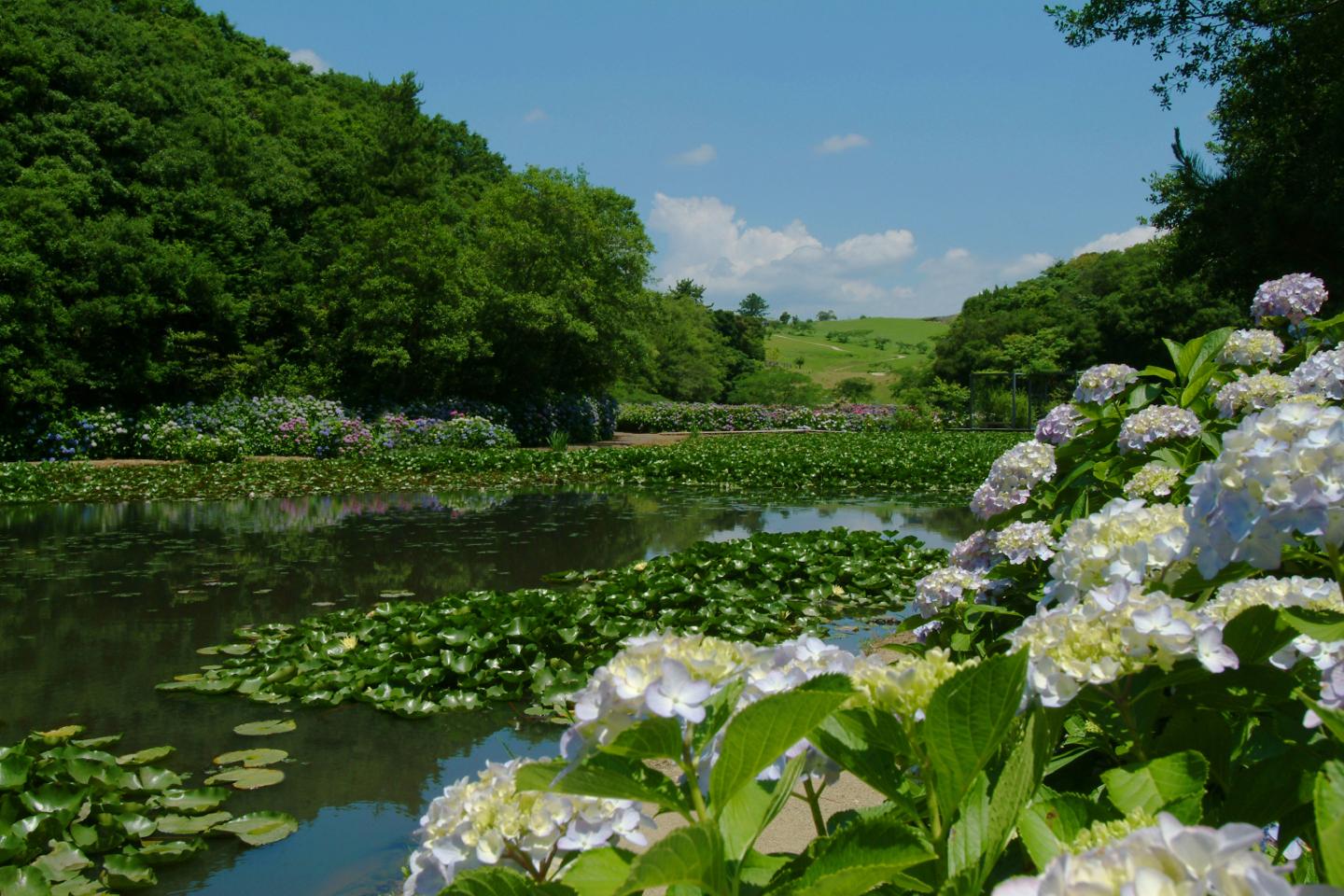 美しい四季を感じながら里山水生園内を散歩するのもおすすめです。