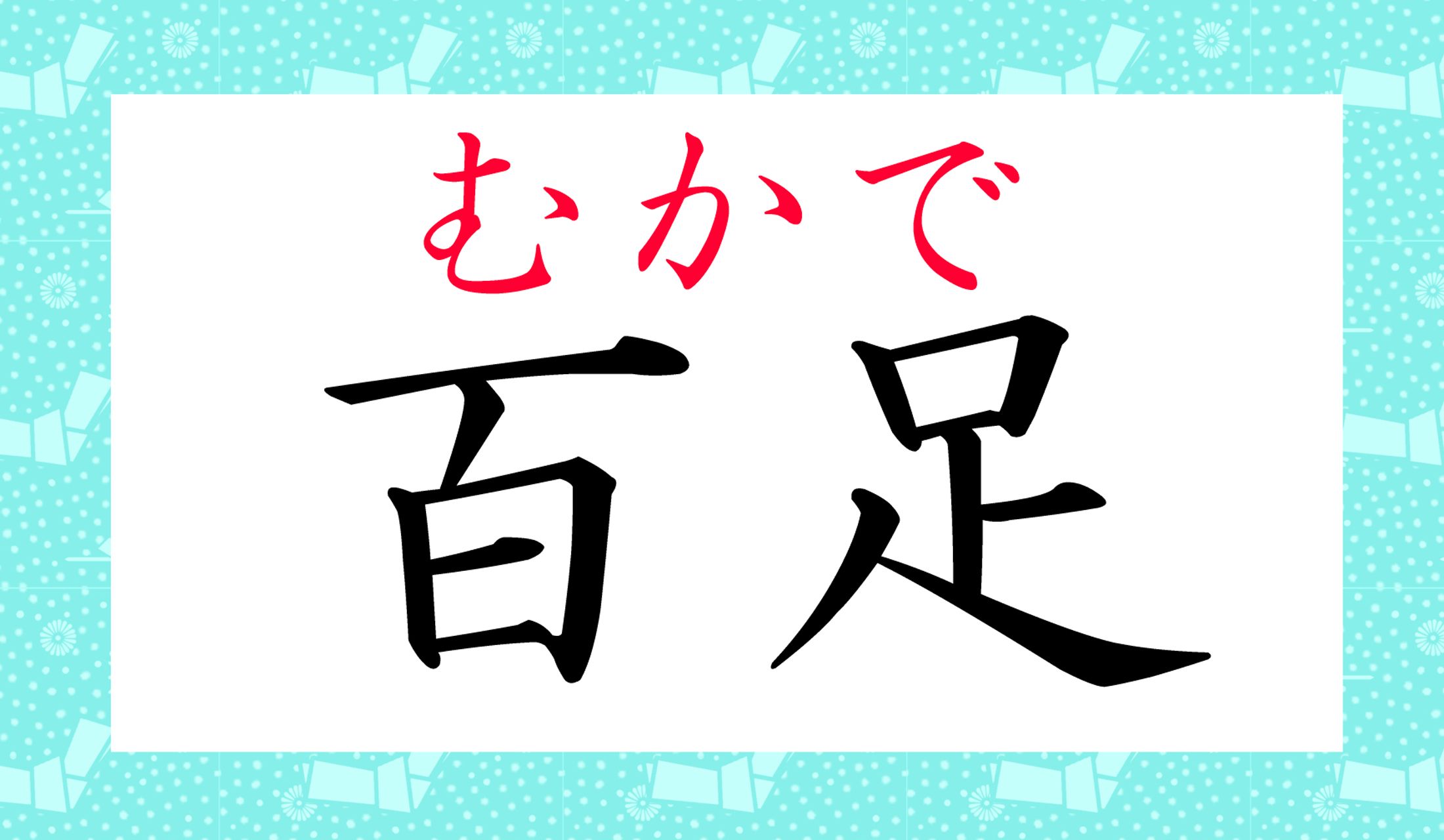 生き物に罪はありませんが、苦手な方が多そうですね。