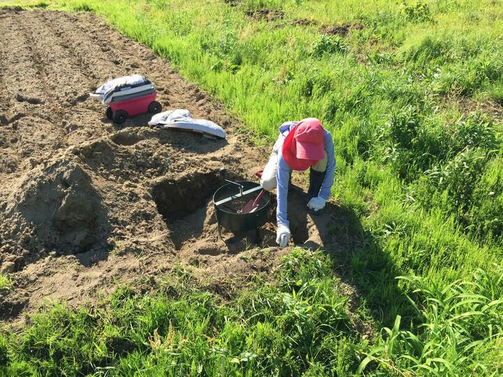 草むしりの腰痛対策と、美脚エクササイズはこちらの記事をご覧ください