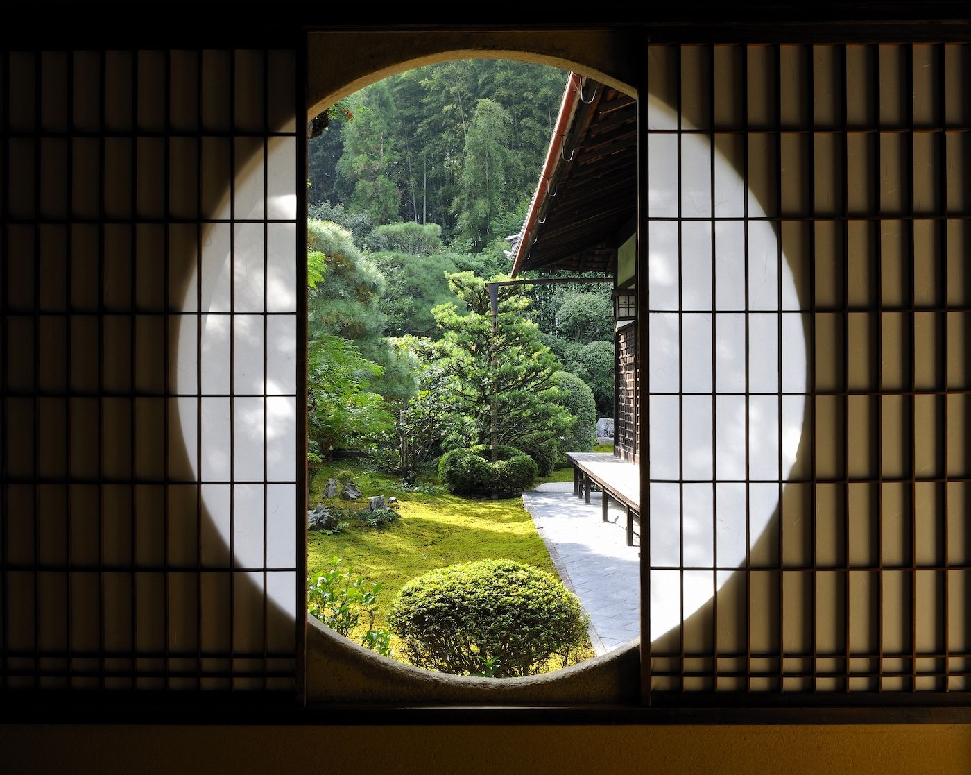 「芬陀院」の窓から見た庭の様子