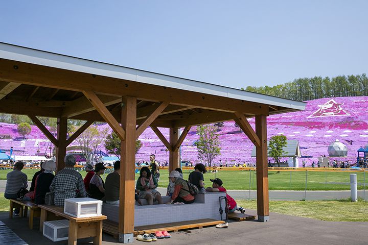 芝桜と一緒に楽しめる足湯
