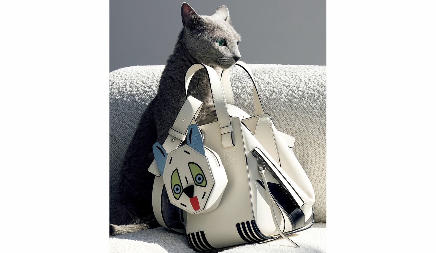 ロエベのバッグ『フューチャリスト キャット ハンモックバッグ コンパクト』と猫