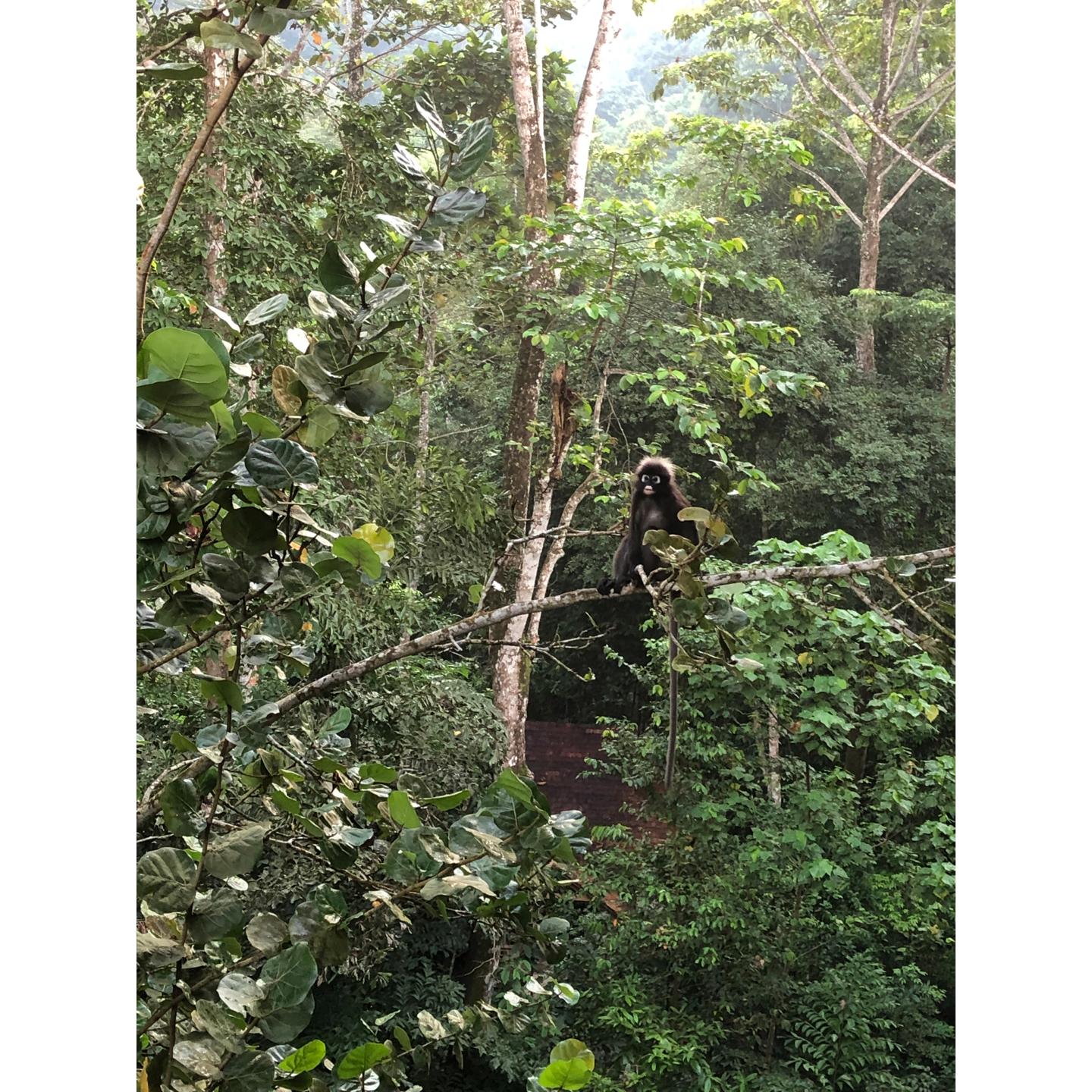 旅行_6