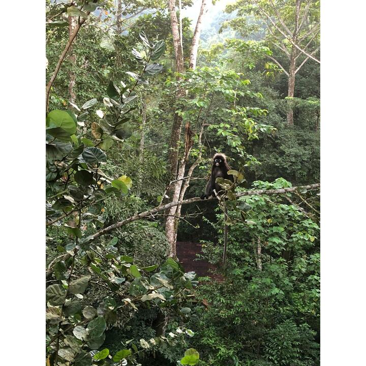 旅行_6