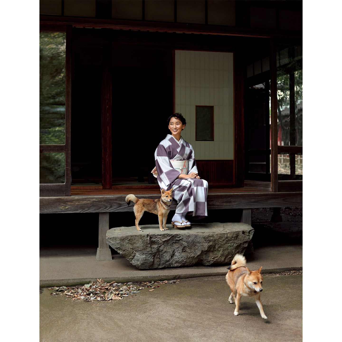 お正月_1,着物_1,犬_1
