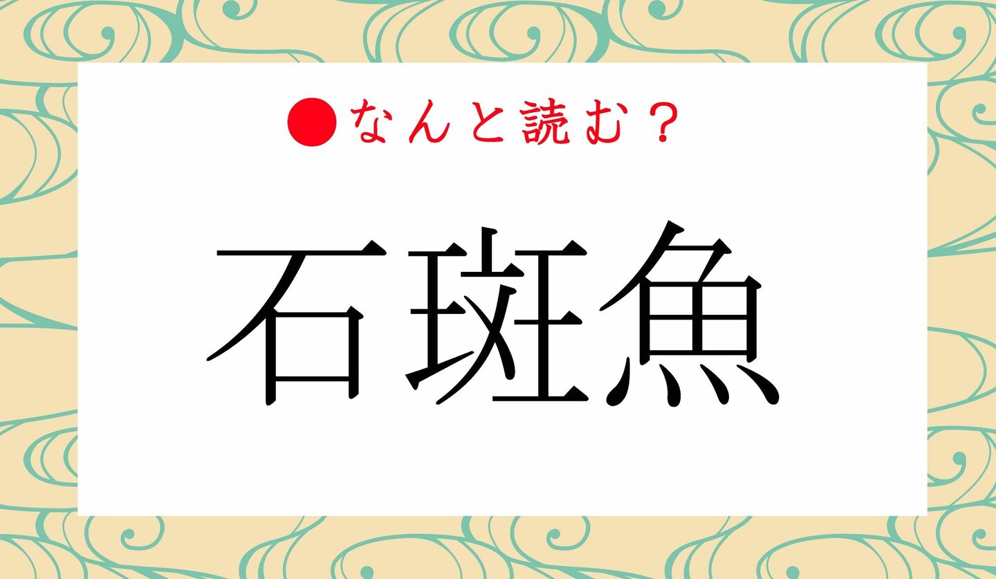 日本語クイズ　出題画像　難読漢字　「石斑魚」なんと読む？