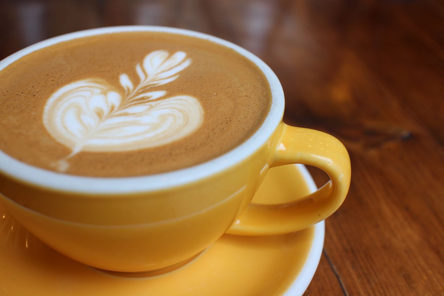 フルーティーな酸味がブレンドした、深みのある味わいのLatte ($4.75)