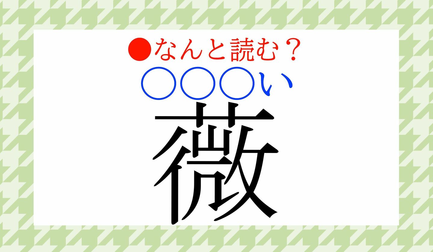 日本語クイズ　出題画像　難読漢字　「薇（○○○い）」なんと読む？