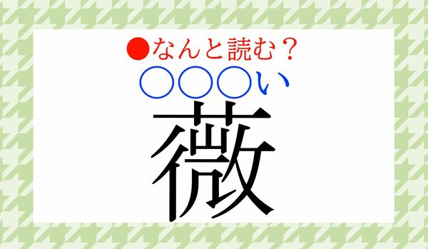 「薔薇」の「薇」、一文字で表す植物「薇（〇〇〇い）」って何？