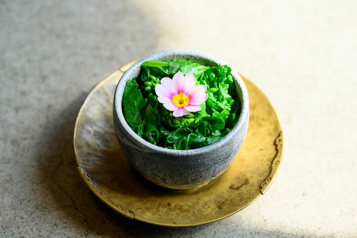 ほろ苦さとまろやかさが見事に重なり合う菜の花とストラッチャテッラチーズのスープ。金沢の旬の食材で織りなすORIGOの料理は、自然の景色がそのまま切り取られたかのような美しさ