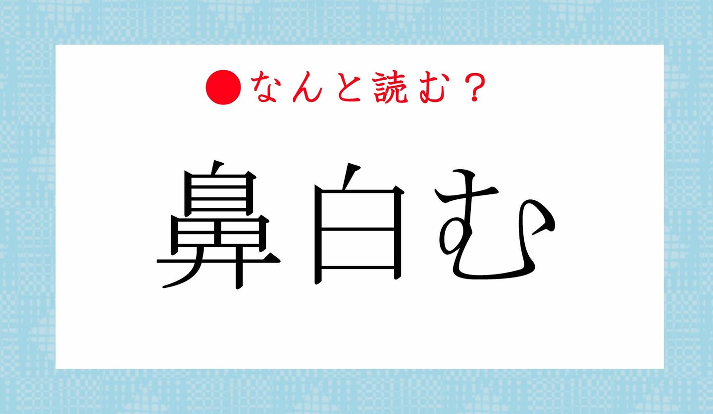 日本語クイズ　出題画像　難読漢字　「鼻白む」なんと読む？