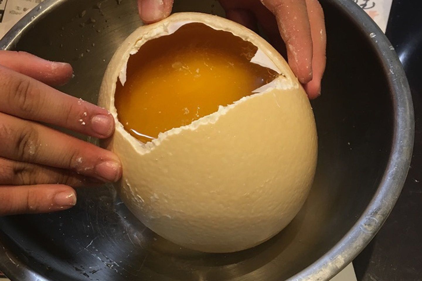 「ダチョウ母さんのたまご(1.2~1.5kg)」¥5,000
