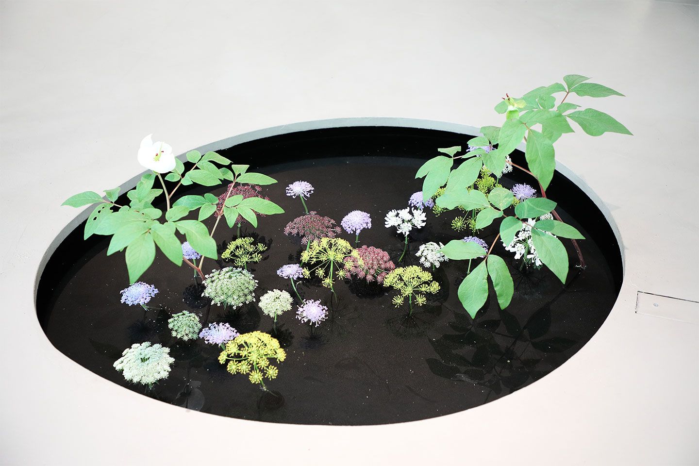 花_5,展覧会_5,東京_5