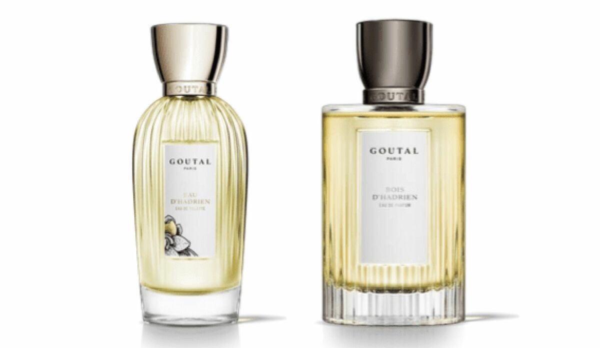 img_b9ec3d3731fb9137038365e3d3