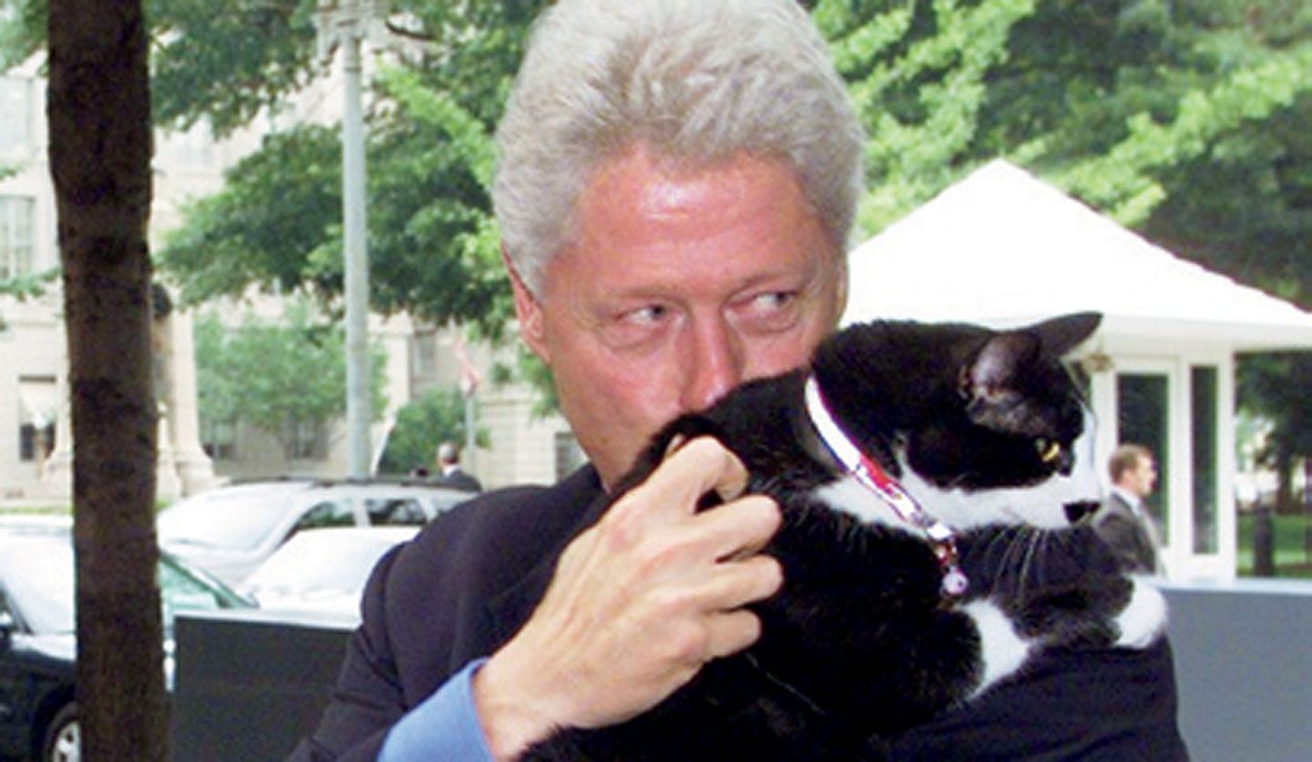 愛猫「ソックス」を抱く、ビル・クリントン元大統領