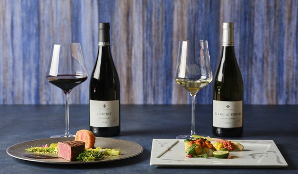 美食とワインに酔いしれる大人の夏旅！箱根「はつはな」の限定プラン【体験レポート】