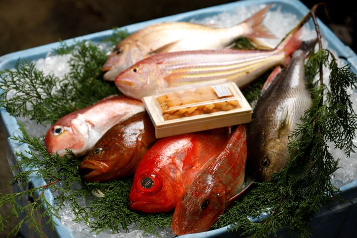 和文化_1,京都_1,食器_1
