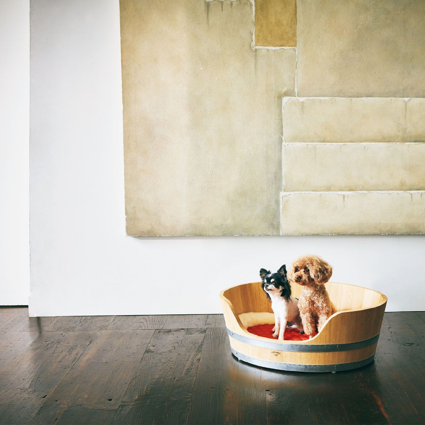 犬_1