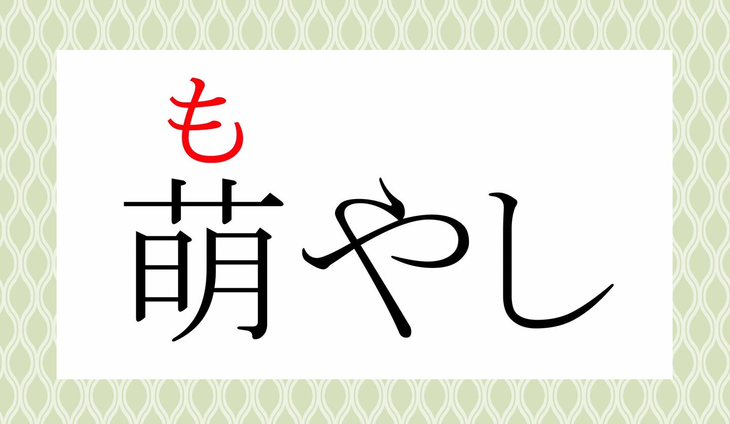 「もえめ」ではありません!「萌芽」ってなんと読む? | Precious.jp(プレシャス)