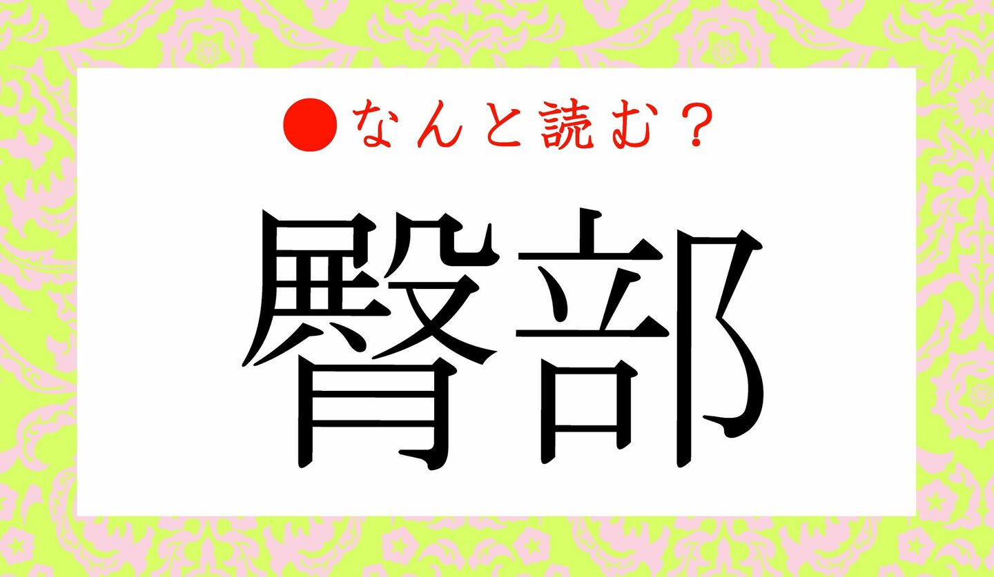 日本語クイズ　出題画像　難読漢字　「臀部」なんと読む？